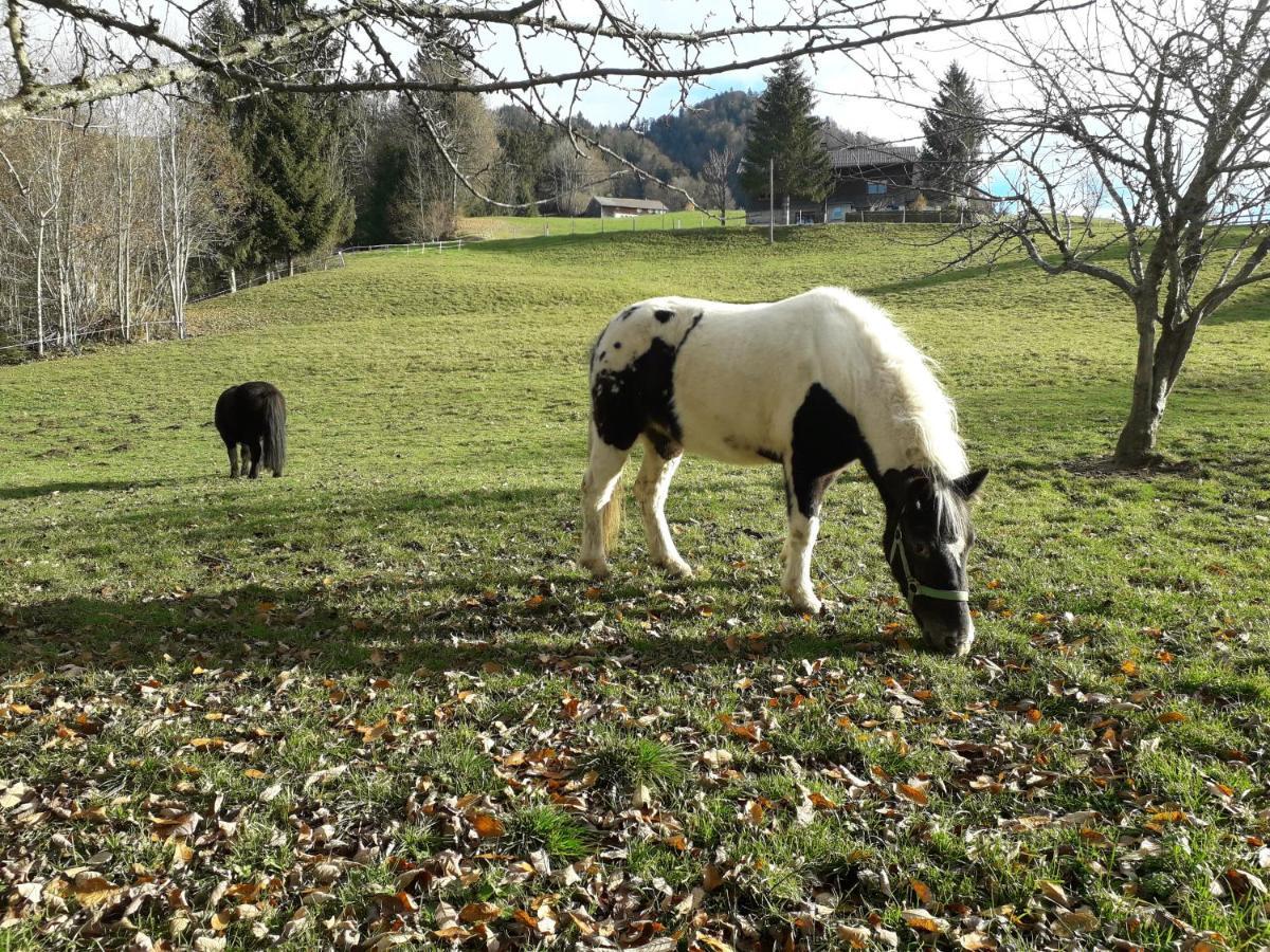 Villa Haus Hagspiel à Hittisau Extérieur photo