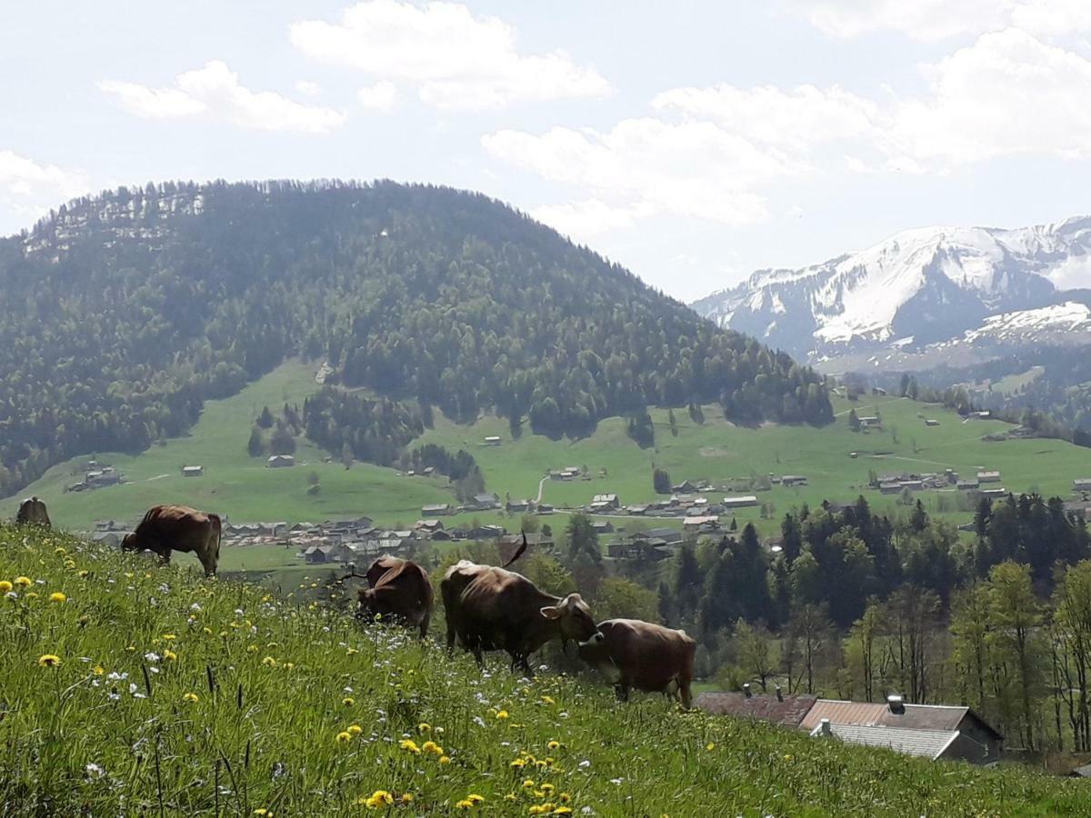 Villa Haus Hagspiel à Hittisau Extérieur photo