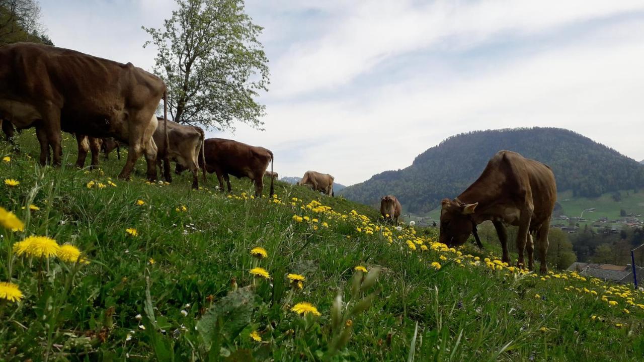Villa Haus Hagspiel à Hittisau Extérieur photo